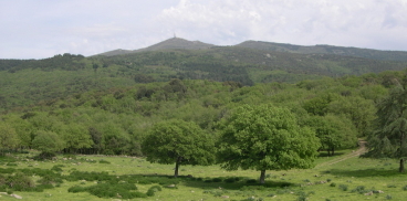 Monte Pisanu visto da Anela (su Pranu)