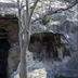 Area archeologica di Tuvixeddu, Grotta della Vipera