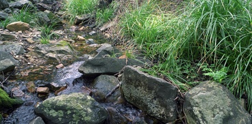 Torrente stagionale presso l'area di sosta di Baccu sa Figu