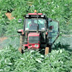 macchine agricole