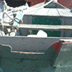 pesca