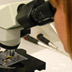 laboratorio analisi microscopio