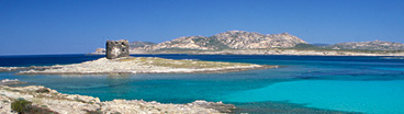 Borgate marine