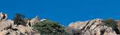Monti Nieddu [360x360]