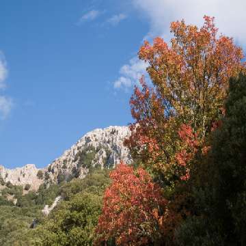 monte Albo Panorama [360x360]