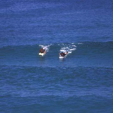 Surfisti nel mare di Badesi [360x360]