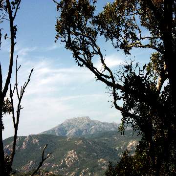 Foresta demaniale di Marganai, vista sul Monte Linas [360x360]