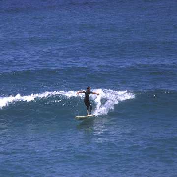 Surfista nelle acque di Badesi [360x360]