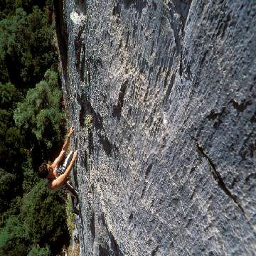 20090107/Cocco_Saba/falesie_free_climbing/falesie-free-climbing-spheraimages-mattia-vacca-119a14 [360x360]