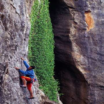 20090107/Cocco_Saba/falesie_free_climbing/falesie-free-climbing-spheraimages-mattia-vacca-218a05 [360x360]