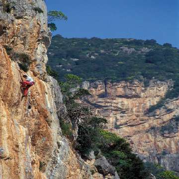 20090107/Cocco_Saba/falesie_free_climbing/falesie-free-climbing-spheraimages-mattia-vacca-188a14 [360x360]