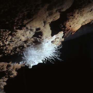20090107/Cocco_Saba/grotte/grotte-spheraimages-gabriela-pani-cancello3 [360x360]