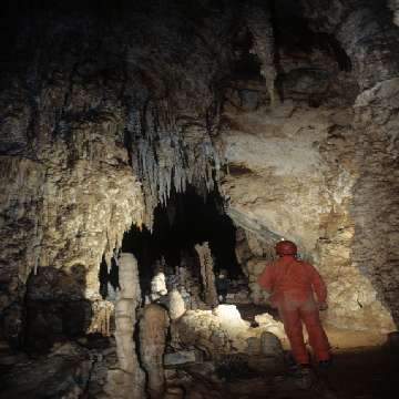 20090107/Cocco_Saba/grotte/grotte-spheraimages-gabriela-pani-lumache1 [360x360]