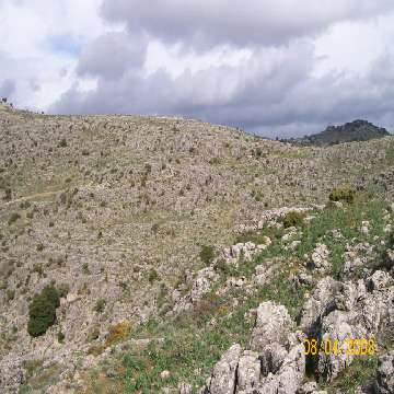 20090325/sentieristica/T-102/Gairo, panorama dal sentiero T-102, 4 [360x360]
