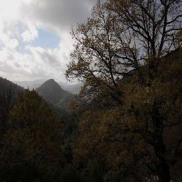20090325/sentieristica/T-722_quat/Desulo, foresta di Girgini [360x360]
