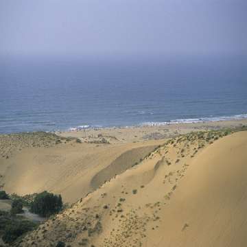 Paesaggio con dune tra Is Arenas e Tre dei Corsari [360x360]