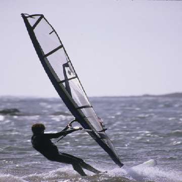 Windsurf sul litorale di Alghero [360x360]