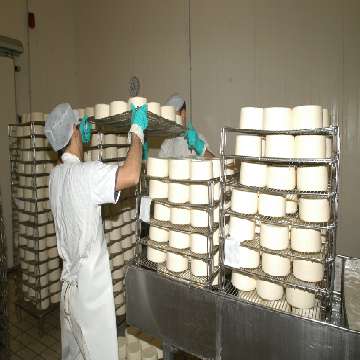 20100524/ARCHIVIO 4/formaggio lavoro industria casearia caseificio latte [9] [360x360]