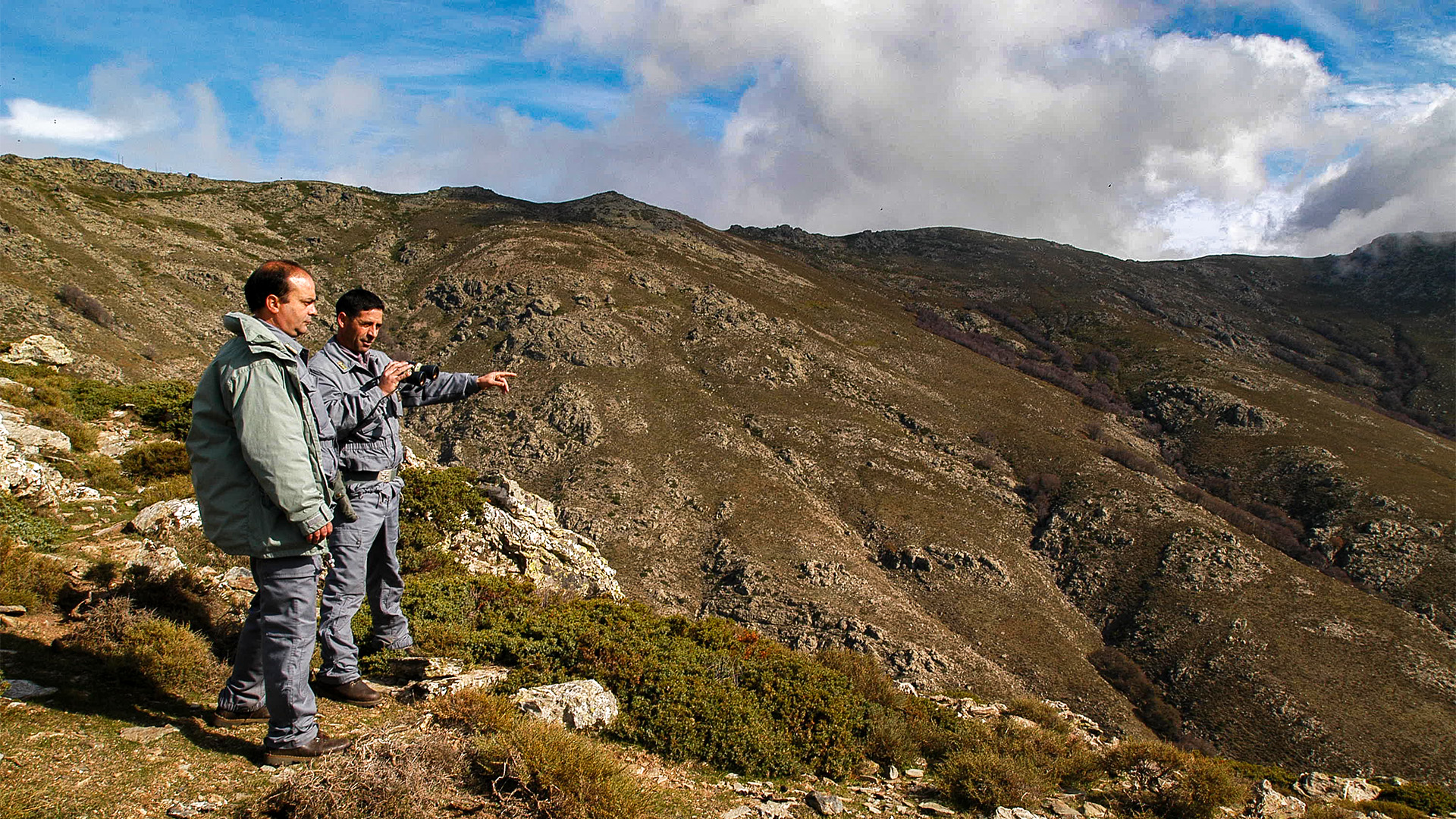 1_203_20220830175847 Sardegna: app 'precaccia tortora selvatica’ da utilizzare nelle giornate di preapertura