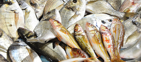 pesci-prodotti-ittici-pesca-DSC_4458.jpg