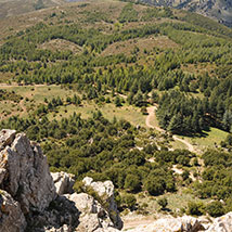 ambiente-montagne-boschi-trekking-