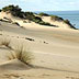 Dune Piscinas