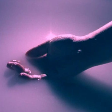 Cover Hands mp4 [h264] [360x360]