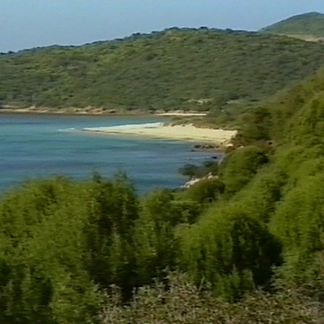 Sardegna un mare di verde