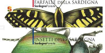 copertina schede farfalle e insetti [360x360]