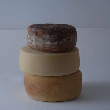 Sarule, formaggio tipico [360x360]
