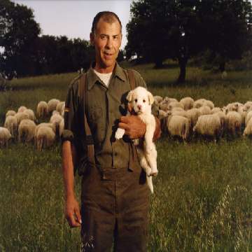 Un pastore con in braccio un cucciolo di maremmano [360x360]