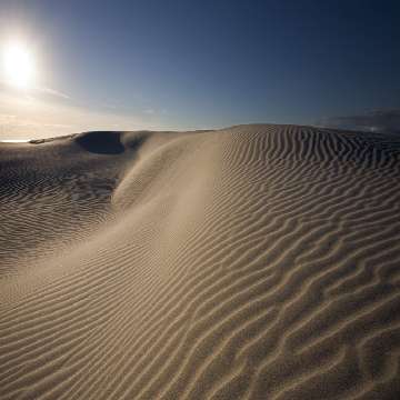 Le dune di Porto Pino [360x360]