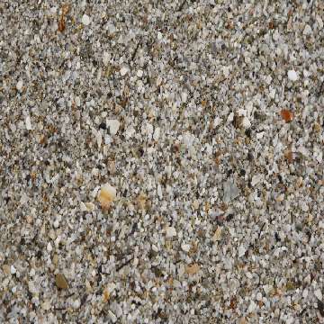 San Giovanni di Sinis, dettaglio della spiaggia [360x360]