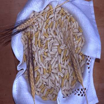 Gnocchetti sardi, malloreddus [360x360]