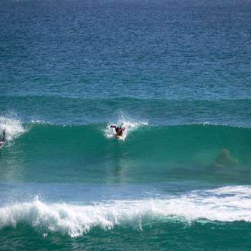 Mare di Chia, surfista [360x360]